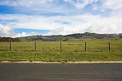 传《生化变种》将登陆Switch 10月25日发售